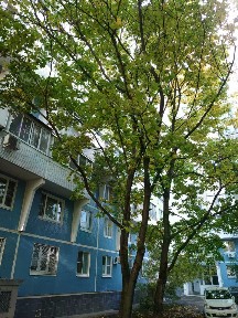 Продается 2-комн. квартира, 53 м²