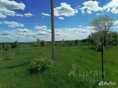 Калужская область, Жуковский муниципальный округ, Трубино село