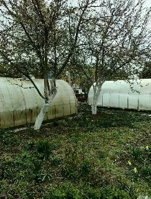 Продается участок, 7,5 сот.