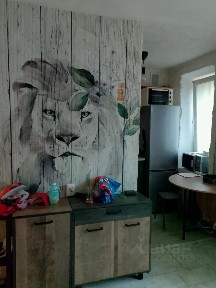 Сдается студия, 20 м²