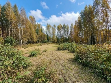 Продается участок, 10 сот.