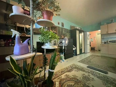 Продается студия, 31,3 м²