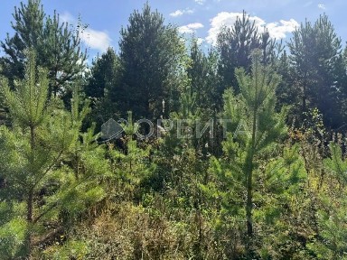 Продается участок, 6 сот.