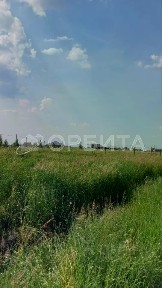 Тюменская область, Тюменский муниципальный округ, Борки село, ул. Текутьева, 31
