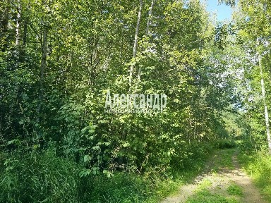 Продается участок, 1 120 сот.
