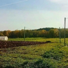 Продается участок, 33,5 сот.