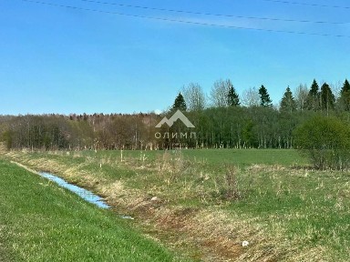 Вологодская область, Остахово село, ул. Центральная