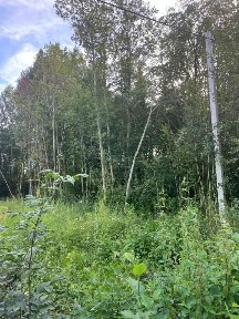 Продается участок, 8 сот.
