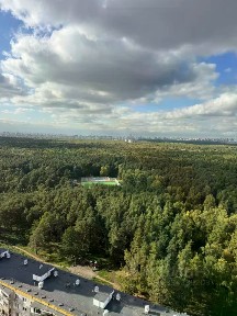 Сдается студия, 24 м²