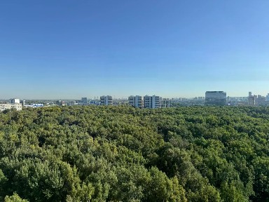 Сдается 1-комн. квартира, 46,1 м²