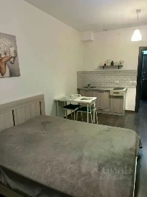 Сдается студия, 24 м²