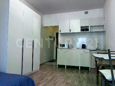 Сдается студия, 22,5 м²