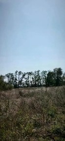 Продается участок, 12 сот.