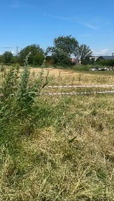 Продается участок, 6 сот.