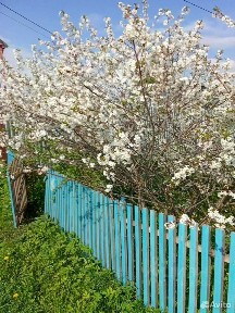 Продается 1-этажный дом, 20 м²