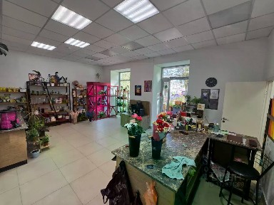 Коми респ., Сыктывкар, ул. Куратова, 76