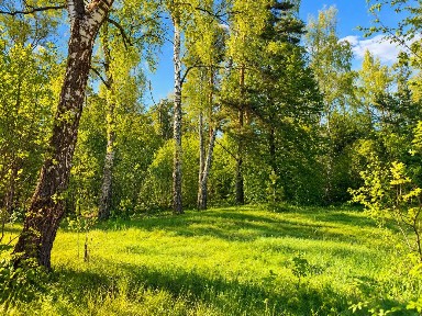 Продается участок, 10 сот.