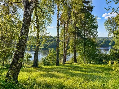 Продается участок, 11 сот.