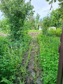 Московская область, Пушкинский городской округ, Ашукино пгт, ул. Пионерская, 19