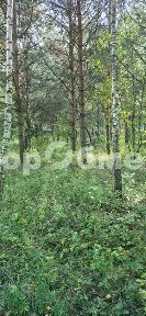 Продается участок, 15 сот.