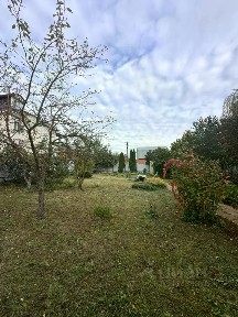 Московская область, Люберцы городской округ, Марусино СНТ, 33