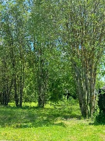 Продается участок, 15 сот.