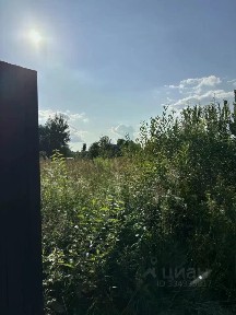Московская область, Богородский городской округ, Новое Подвязново деревня, 22