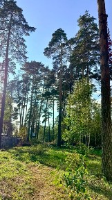 Продается участок, 6,7 сот.