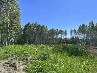 Продается участок, 10 сот.