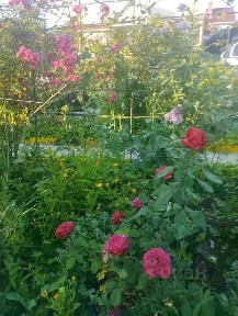 Продается участок, 6 сот.