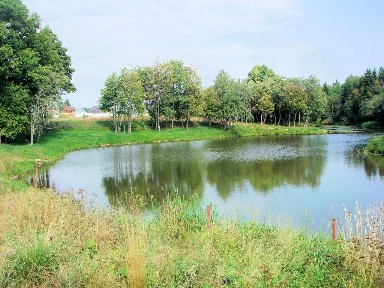 Продается участок, 31,67 сот.