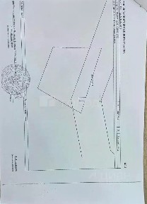 Алтайский край, Барнаул городской округ, Колос СНТ, 1044