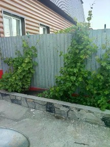 Продается 2-этажный дом, 88 м²