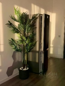 Сдается студия, 24 м²
