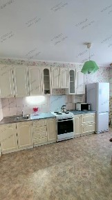 Новосибирская область, Новосибирск, р-н Октябрьский, мкр. Плющихинский, ул. Татьяны Снежиной, 41/1