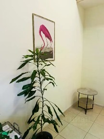 Сдается офис, 1 - 17 м²