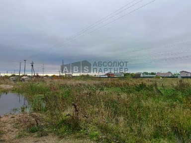 Новгородская область, Новгородский муниципальный округ, Ермолинское с/пос, Новая Мельница деревня