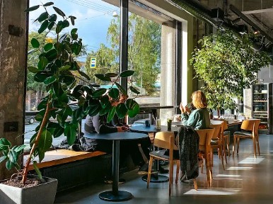Продается готовый бизнес ⋅ кафе/ресторан, 300 м²