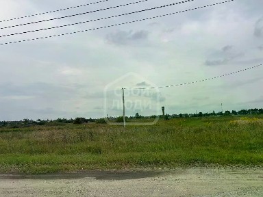 Рязанская область, Рязанский муниципальный округ, Поляны село