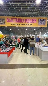 Сдается торговая площадь, 4 м²