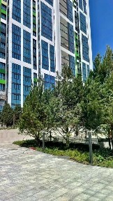 Краснодарский край, Новороссийск, мкр. Приморский, Цемдолина территория, ул. Ф. Я. Бурсака, 82