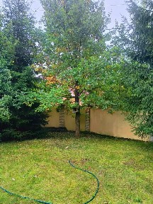 Сдается 1-этажный дом, 80 м²