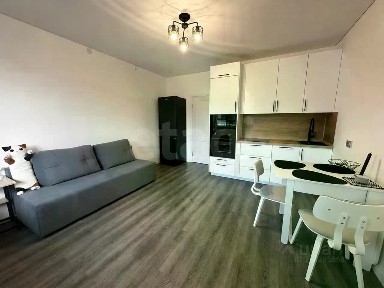 Сдается студия, 24 м²