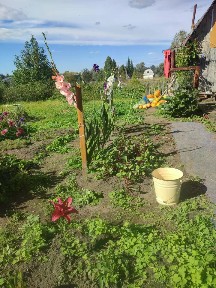 Продается участок, 20 сот.