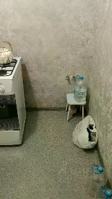 Сдается 2-комн. квартира, 42 м²