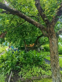 Московская область, Богородский городской округ, Караваево деревня, 1