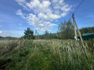 Московская область, Богородский городской округ, Новое Борилово коттеджный поселок
