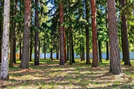 Продается участок, 42 сот.