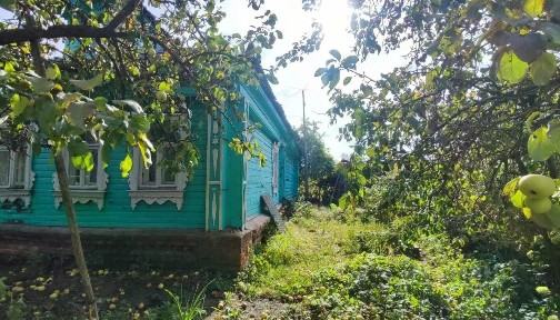 Московская область, Воскресенск городской округ, Усадище село, ул. Воронцова, 51