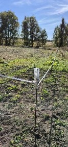 Московская область, Серпухов городской округ, Глазово деревня, 2